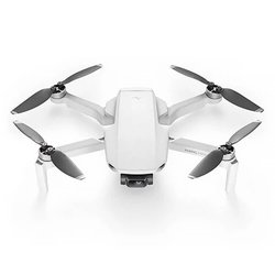 DJI Mavic Mini